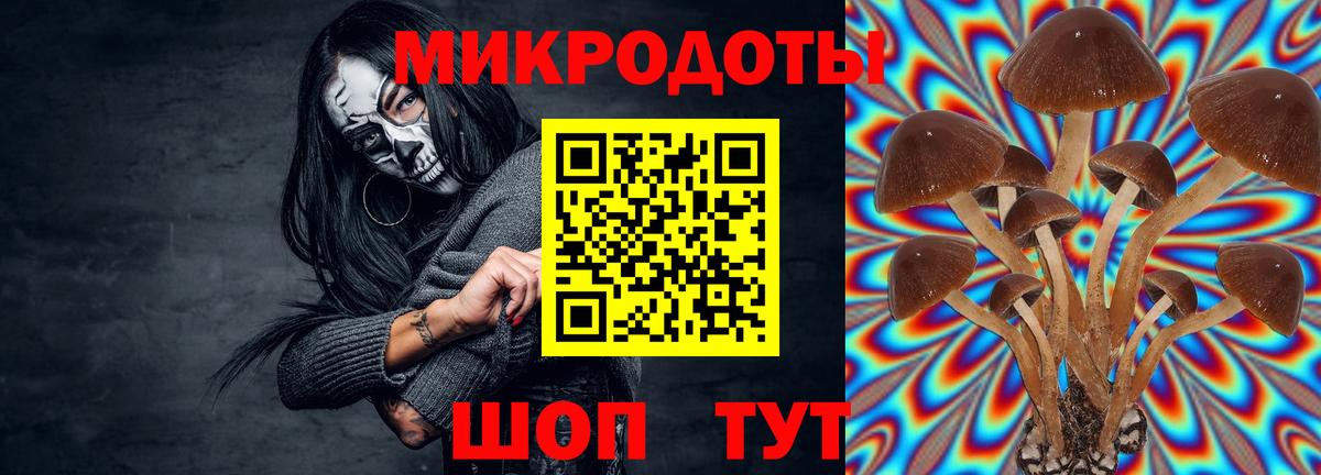 Апрелевка  Псилоцибиновые грибы MAGIC MUSHROOMS  Вход с VPN 